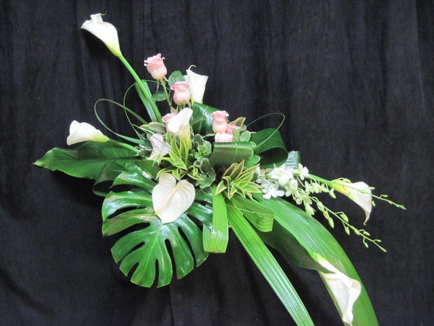 Fleuriste Cléome SainteAnneDesPlaines (450) 4787312