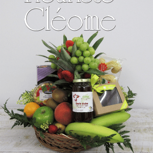 Panier de fruits 003