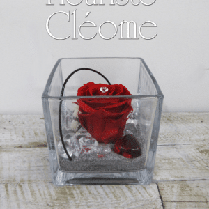 RO-14 Rose éternelle Pauline