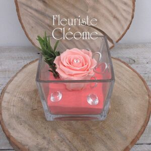 RO-15 Rose éternelle Katia