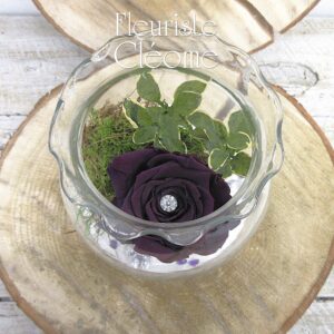 RO-21 Rose éternelle Émilienne