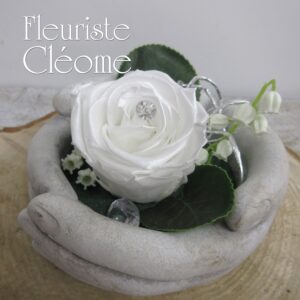 RO-07 Rose éternelle les mains de Kassiopé