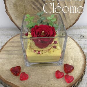 RO-08 Rose éternelle Lily-May