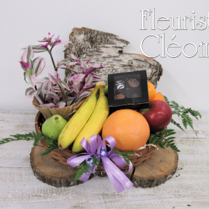 Fruits, plante et chocolats 004