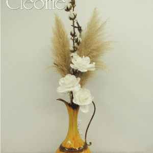Magnolias, cotons et pampas