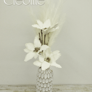 Magnolias et plumes