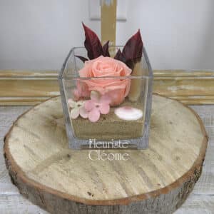 RO-37 Rose éternelle Adèle