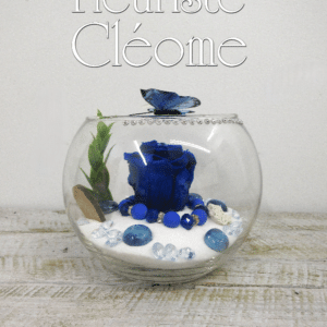 RO-23 Rose éternelle Ariel