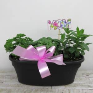 Petit bac à fines herbes