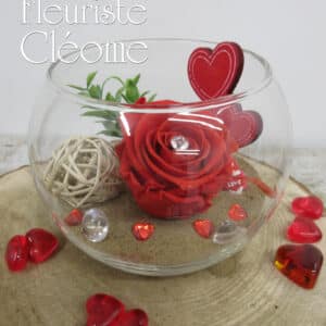 RO-29 Rose éternelle Sylvie