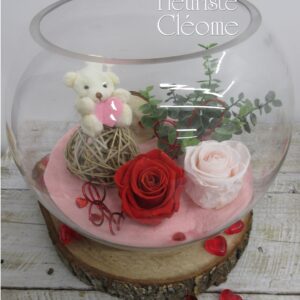 RO-24 Rose éternelle Cécile