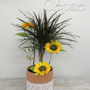 Dracena décoré #2
