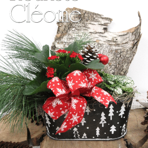 Jardin de plantes des fêtes