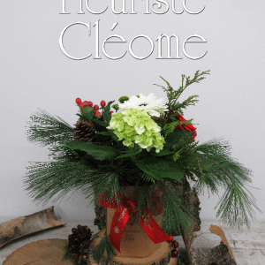 Flor-Box Joyeuses fêtes