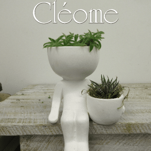Petit bonhomme de plantes