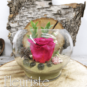 RO-33 Rose éternelle Adeline
