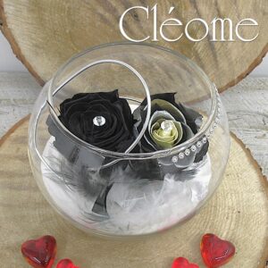 RO-31 Rose éternelle Gypsi