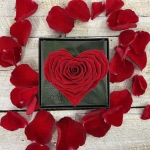 Rose éternelle en cœur