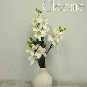 Fleurs de soie - petites orchidées
