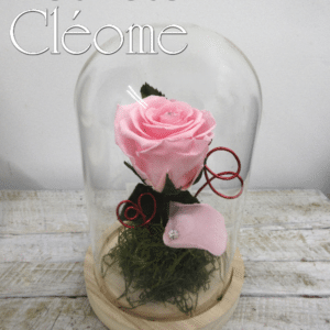 Rose éternelle rose de La Belle et La Bête (moyen dôme)