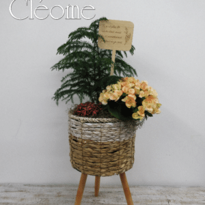 Jardin fleurie sur pied