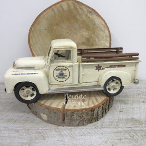 Camion beige