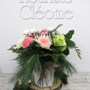 La Flor-Box Noel rose