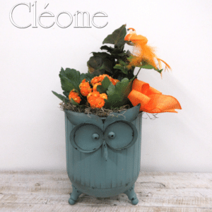 Jardin Je t'aime ma chouette