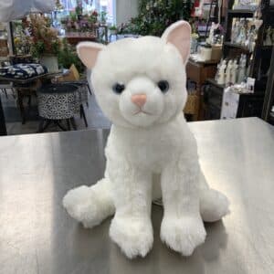Chat blanc