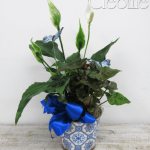 lys de paix décoré de bleu
