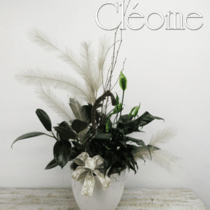 Jardin de plumes