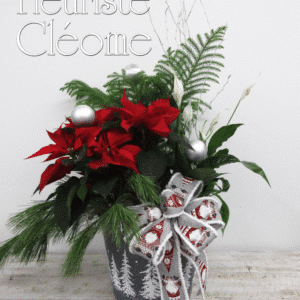 Grand montage de plantes du temps des fêtes