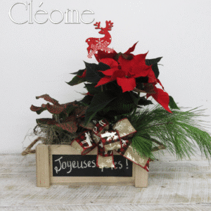 Petit coffret du temps des fêtes