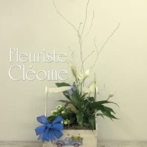 Jardin de plantes Camion bleu