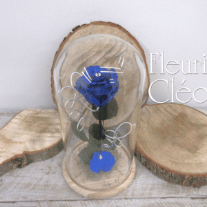 Rose éternelle bleue La Belle et la Bête (grand dôme)
