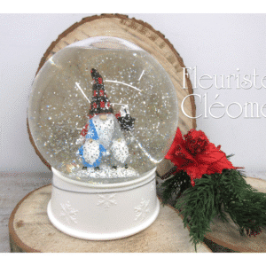 Grosse boule à neige du gnome