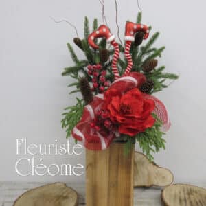 Magnolia Rouge du Lutin de Noël