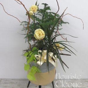 Le Jardin De La Villa