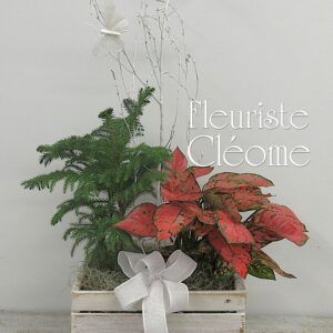 La Clairière Enchantée