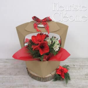 Boîte florale L'Éclat d’Amaryllis