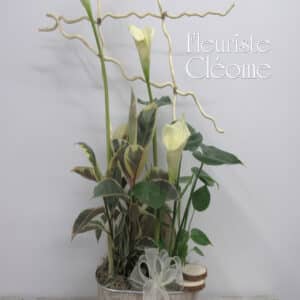 Jardin de plantes avec lys callas en soie et treillis en bois