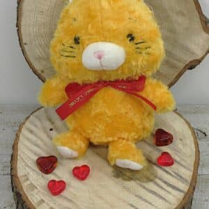 petit chat roux