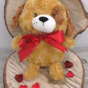 petit chien roux