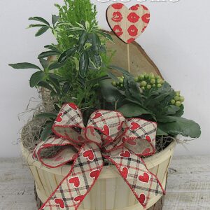 Le coin des amours vertes