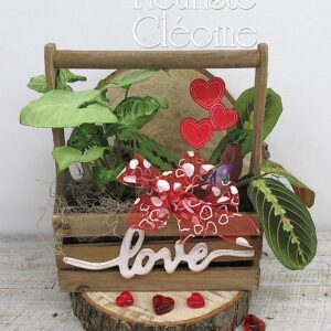 Le jardin des doux bourgeons