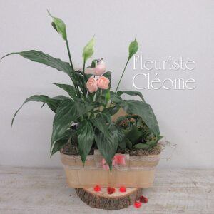 Le jardin des coeurs en pot