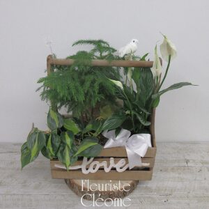 L'atelier des plantes amoureuses