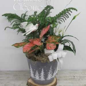 Jardin de plante en douceur