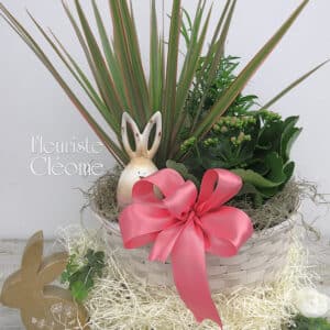 Le jardin des lapins et des fleurs