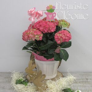 La pétale de printemps